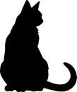 Khao Manee Cat Black Silhouette Generative Ai Royalty Free Stock Photo