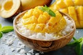 Khao Niew Mamuang or Thai mango sticky rice with coconut cream