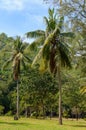 Khao Sam Roi Yot national park in Kui Buri District, Prachuap Khiri Khan Province, Thailand Royalty Free Stock Photo