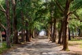 Khao Sam Roi Yot national park in Kui Buri District, Prachuap Khiri Khan Province, Thailand Royalty Free Stock Photo