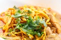 Khao Soi with chicken Royalty Free Stock Photo