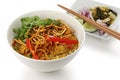 Khao soi , curry noodles , thai food Royalty Free Stock Photo