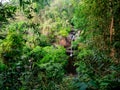 KHAO YAI NATIONAL PARK, THAILAND, April 18, 2019