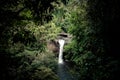 Stunning scenery of Haew Suwat Waterfall,Khao Yai National Park,Nakhon Ratchasima province,Thailand