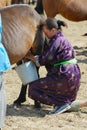 Mongolian woman wearing traditional dress milks mare in a steppe in Kharkhorin, Mongolia.