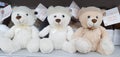 Kharkiv / Ukraine - December 06, 2019 Cute teddy bear toys on store shelves, Christmas gift sale