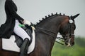 The Equestrian FEI Dressage World Cup Kharkiv 2021