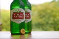 Bottles of Stella Artois beer on blurred green trees background Royalty Free Stock Photo
