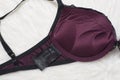 KHARKOV, UKRAINE - MARCH 04, 2019: Inner side of purple bodice with push-up. Label of H&M. Fashion lingerie concept