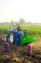 Kherson oblast, Ukraine - September 19, 2020: Farmer workers on a tractor with an aggregate of equipment for digging out potato