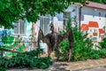 Metal sculpture of a prehistoric lizard on Kanatna street in Kherson