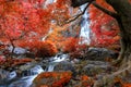 Khlong Lan waterfall is a beautiful Waterfalls in the rain forest jungle Thailand Royalty Free Stock Photo