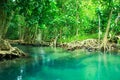 Khlong Song Nam, krabi,Thailand Royalty Free Stock Photo