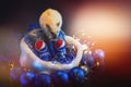 Khmelnytskyi, Ukraine - December 13, 2019: White rat is sitting on bottle of pepsi drink on a black background. Concept of the new Royalty Free Stock Photo