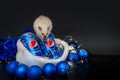 Khmelnytskyi, Ukraine - December 13, 2019: White rat is sitting on iron bottle of pepsi drink on a black background. The concept Royalty Free Stock Photo