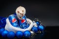 Khmelnytskyi, Ukraine - December 13, 2019: White rat is sitting on iron bottle of pepsi drink on a black background. The concept