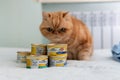 Khmelnytskyi, Ukraine - September 28, 2023: Purina Gourmet Gold luxury pet food cans. Formed in 2001 Purina Pet care is a