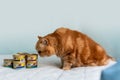 Khmelnytskyi, Ukraine - September 28, 2023: Purina Gourmet Gold luxury pet food cans. Formed in 2001 Purina Pet care is a