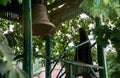 Nun in monastic traditional attire rings the church bell. Summer Christian holiday Royalty Free Stock Photo