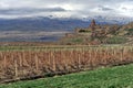 Khor Virap Monastery at Mount Ararat in Armenia Royalty Free Stock Photo