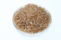 Khorasan wheat, Kamut Royalty Free Stock Photo