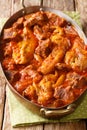 Khoresh Bademjan recipe, a Persian Eggplant Stew in a thick tomato based sauce with pieces of meat closeup in a pan. Vertical