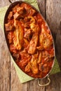Khoresh Bademjan recipe, a Persian Eggplant Stew in a thick tomato based sauce with pieces of meat closeup in a pan. Vertical top