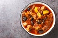 Khoresht Aloo Stewed lamb meat with dried plums or prunes, tomato, onion, potato, carrot and garlic closeup in the bowl. Royalty Free Stock Photo