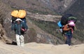 Nepalese porter carrying a havy load