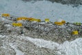 Everest Base Camp tents on Khumbu glacier EBC Nepal side