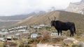 Khumjung village on the way to Everest base camp Trekking in Nepal with Yeti Scalp inside Khumjung monastery located north of