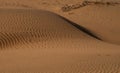 Patterns at Sand Dunes Khuri, Sam, Jaiselmer, India Royalty Free Stock Photo