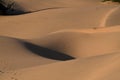 Patterns at Sand Dunes Khuri, Sam, Jaiselmer, India Royalty Free Stock Photo