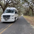 A van driving through a live oak tree tunnel on Kiawah Island in South Carolina on a beautiful spring day