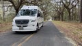 A live oak tree tunnel on Kiawah Island in South Carolina on a beautiful spring day