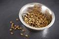 Kibble dog or cat food in bowl Royalty Free Stock Photo