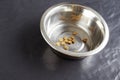 Kibble dog or cat food in bowl Royalty Free Stock Photo