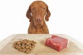 Kibble or natural dog food