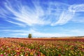 Kibbutz in the south of Israel