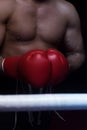 Kick boxer with a focus on the gloves Royalty Free Stock Photo