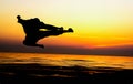 Kick martial art Royalty Free Stock Photo