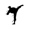 Kick martial art splash silhouette design vector Royalty Free Stock Photo