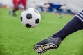 Kick soccer ball Royalty Free Stock Photo