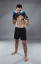 Kickbox fighter in guard stance Royalty Free Stock Photo