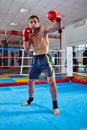 Kickbox fighter shadow boxing in the ring Royalty Free Stock Photo