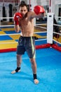 Kickbox fighter shadow boxing in the ring Royalty Free Stock Photo