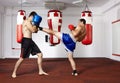 Kickbox fighters sparring in the gym Royalty Free Stock Photo