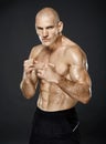 Kickboxer in guard stance on gray background Royalty Free Stock Photo
