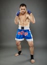 Kickboxer in guard stance Royalty Free Stock Photo