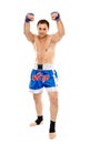 Kickboxer in guard stance Royalty Free Stock Photo